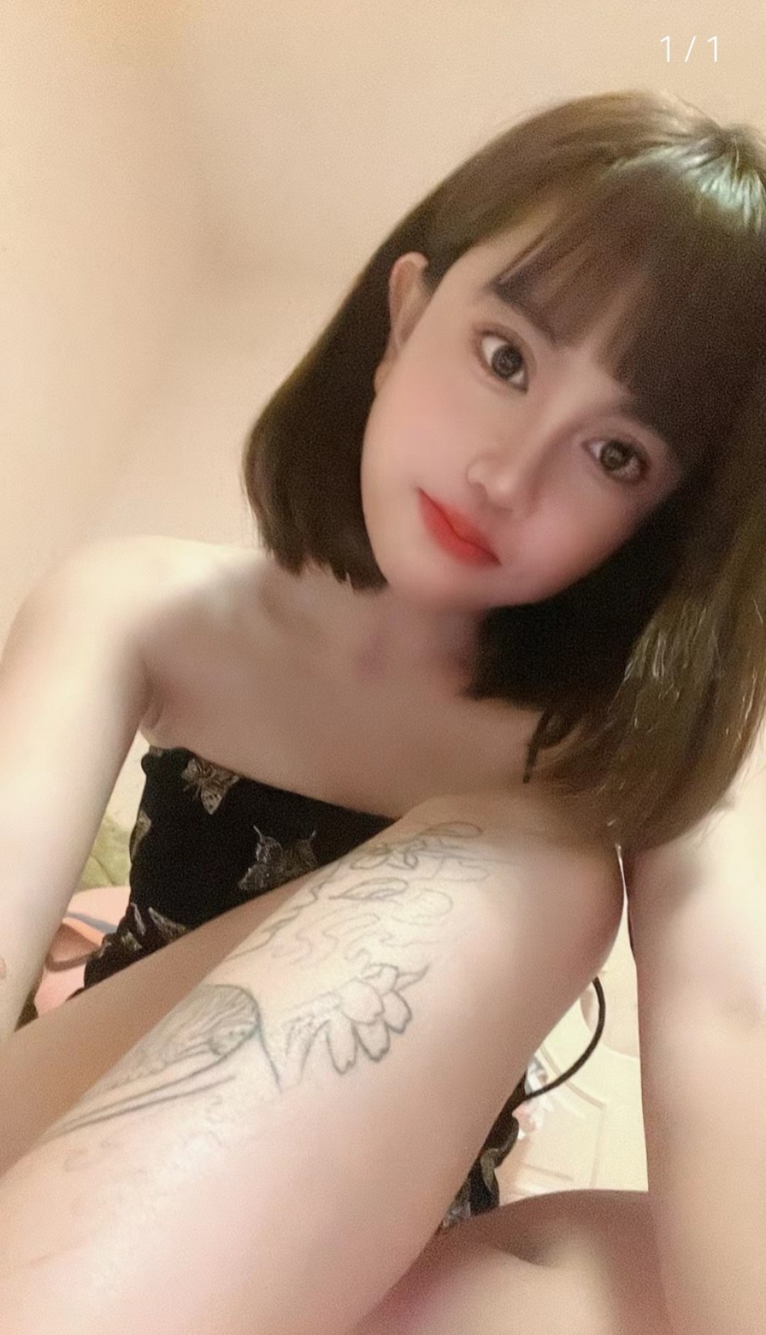 天津东丽区猫九
